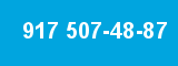 917 507-48-87